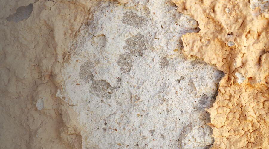 Why choose water damage restoration service for commercial water damage restoration in Irvine